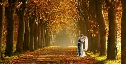 autumn_wedding