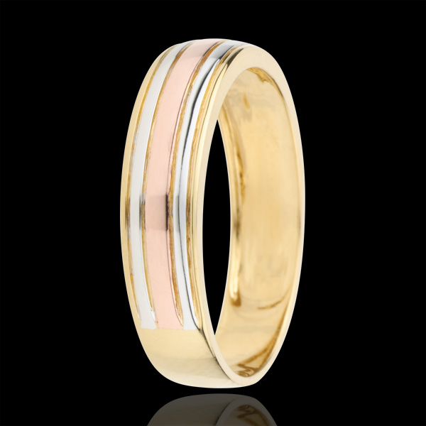 Promesa n.º 81