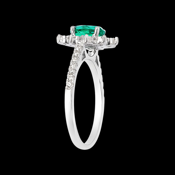 Eterno Edelweiss n. 4