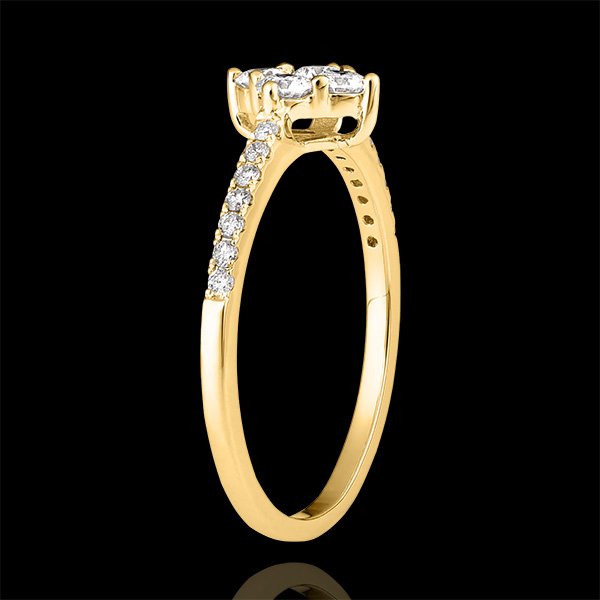 Bague Fraîcheur - Dina - or jaune 18 carats et diamants