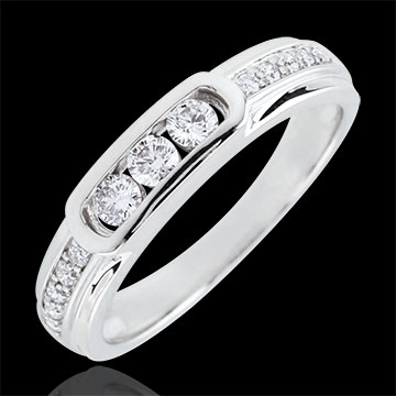 Trilogie Ring Helwen - 18 karaat witgoud