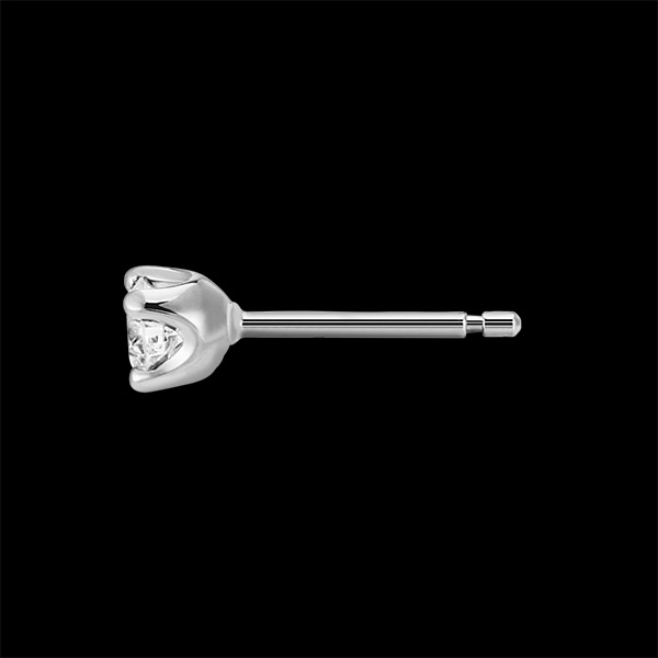 Boucles d'oreilles diamants - puces or blanc 18 carats - 0.3 carat