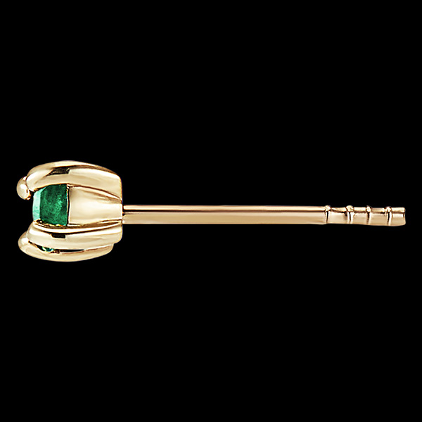 Oiseau de Paradis nº 41