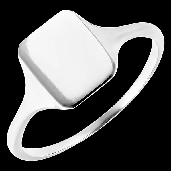Ring Clair-Obscur - Chevalière Héra - 18 karaat witgoud