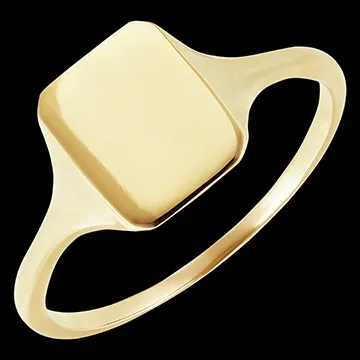 Ring Clair-Obscur - Chevalière Héra - 9 karaat geelgoud