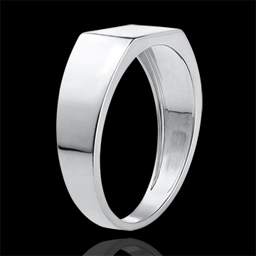 Ring Chiaroscuro - Zegelring Hector - 9 karaat witgoud
