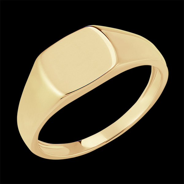 Bague Clair Obscur - Chevalière Énée - or jaune 9 carats
