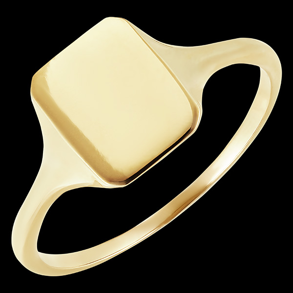 Bague Clair Obscur - Chevalière Héra - or jaune 9 carats