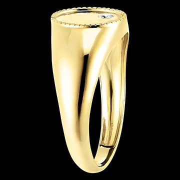 Ligth & Dark Ring– Auguste Signet Ring - 9 carat yellow gold and diamond