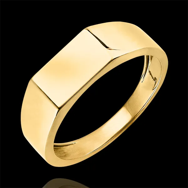 Anillo Claro-Oscuro - Anillo de Sello Hector - oro amarillo de 9 quilates