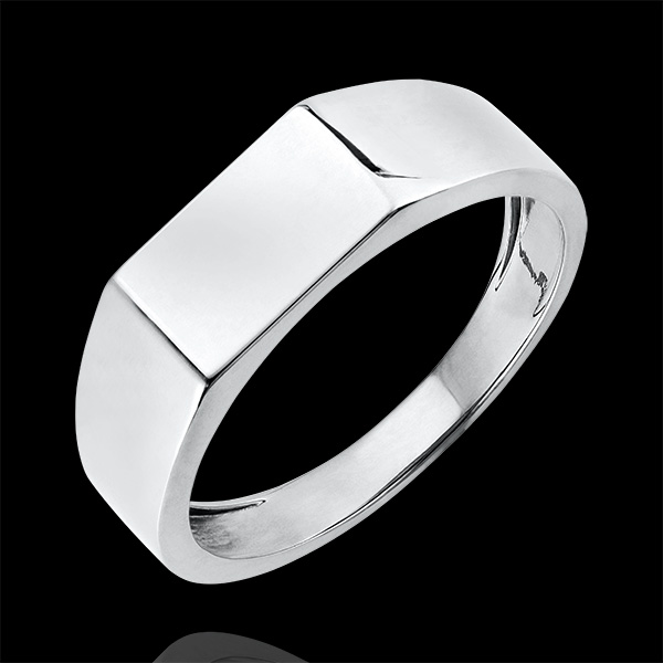 Anillo Claro-Oscuro - Anillo de Sello Hector - oro blanco de 9 quilates