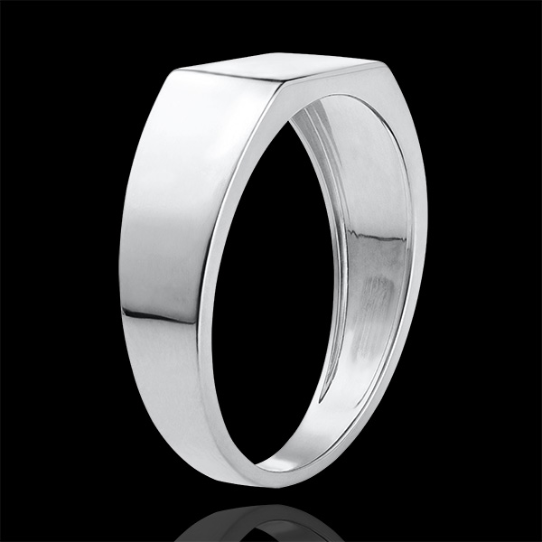 Anillo Claro-Oscuro - Anillo de Sello Hector - oro blanco de 9 quilates