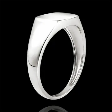 Anillo Claro-Oscuro - Anillo de Sello Eneas - oro blanco de 9 quilates