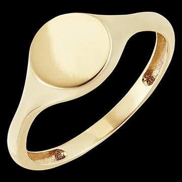 Anillo Claroscuro - Artemisa - oro amarillo de 9 quilates