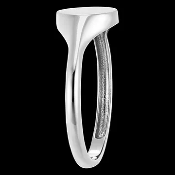 Anillo Claroscuro - Artemisa - oro blanco de 18 quilates