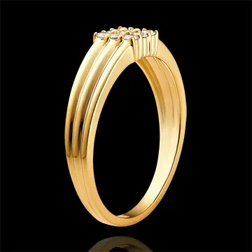 Anillo Claro-Oscuro - Cubierto de Diamantes - oro amarillo de 18 quilates y diamantes