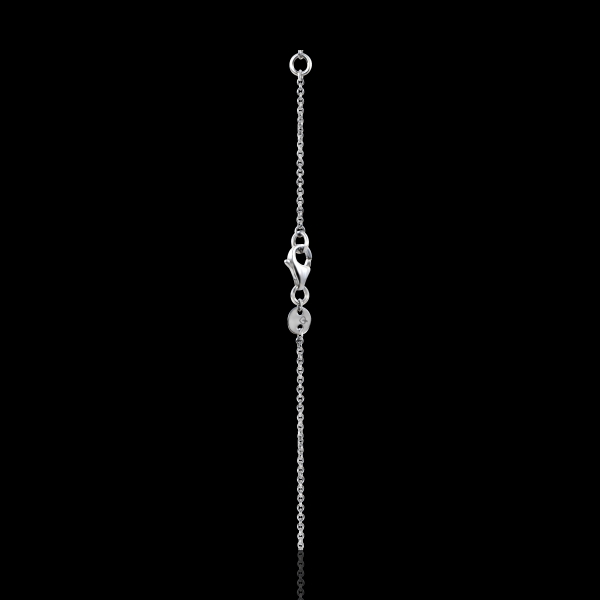 Costellazione n. 13