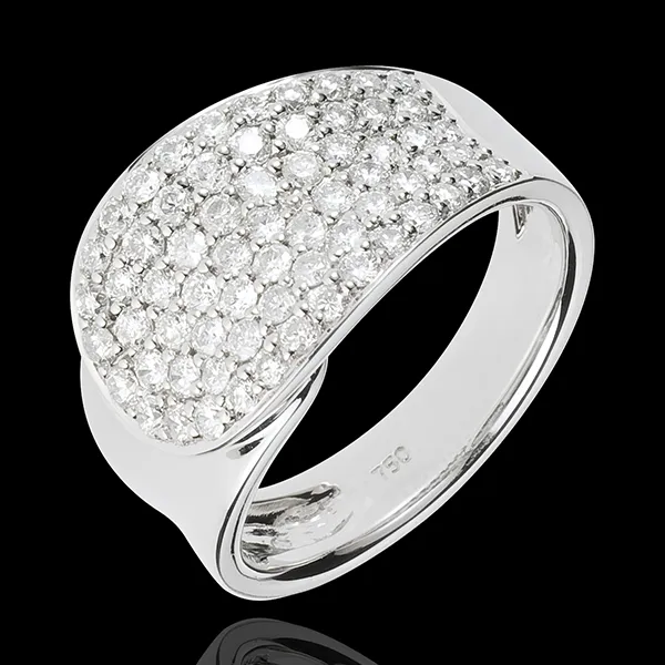 Anello Fascia di diamanti - Oro bianco - 18 carati - 66 Diamanti - 1.1 carati