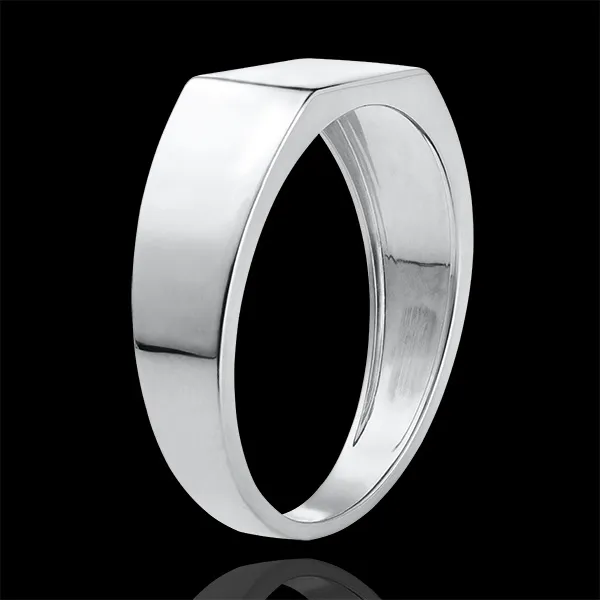 Ring Dämmerschein - Siegelring Hector - 9 Karat Weißgold