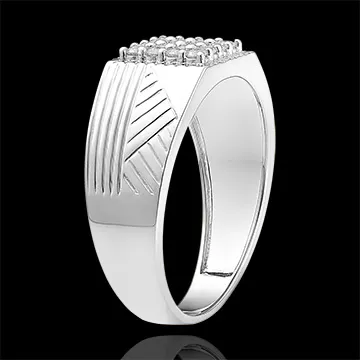 Ring Dämmerschein - Siegelring mit Gravuren - 18 Karat Weißgold und Diamanten