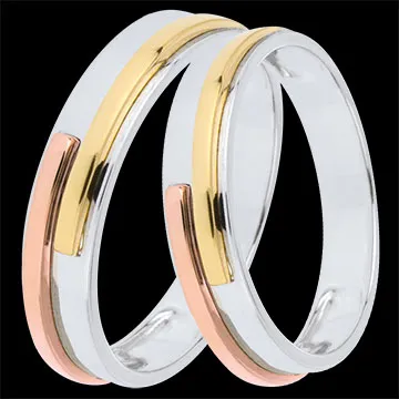 Duo d'alliances Titan- Trois ors - 9 carats