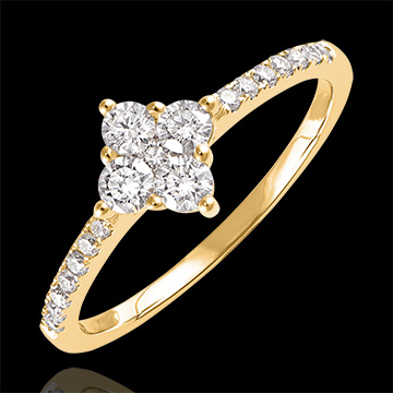 Freshness Ring - Dina - yellow gold 9 carats and diamonds