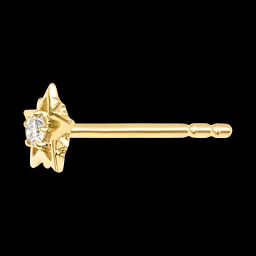 Pendientes tipo botón Astréa – Oro amarillo de 9 quilates y diamantes sintéticos