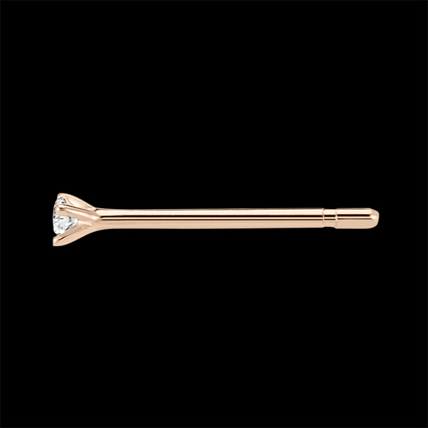 Fraicheur No. 22