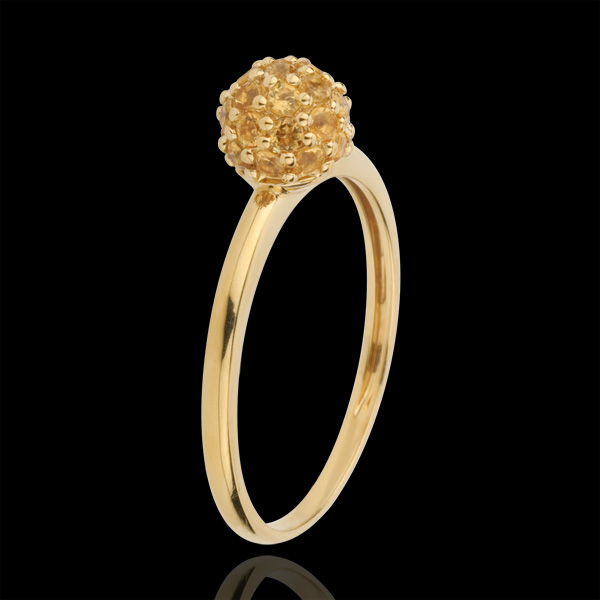 Pasăre din Paradis nr. 1