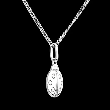 Lieveheersbeestje - klein model - 18 karaat witgoud
