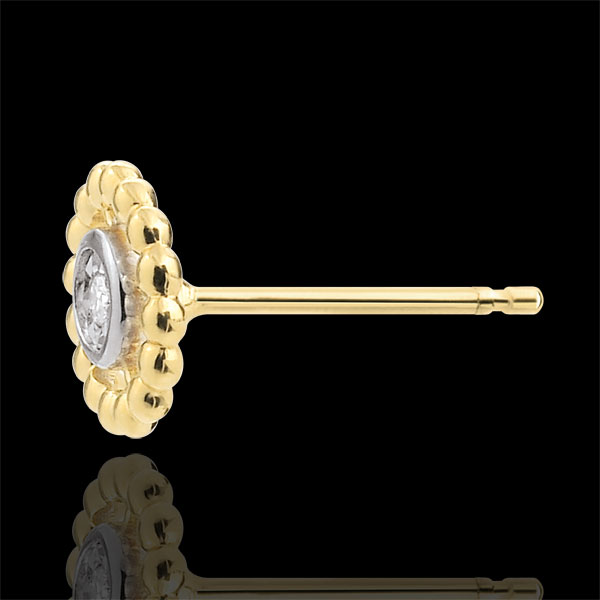 Kwiat Soli nr 1