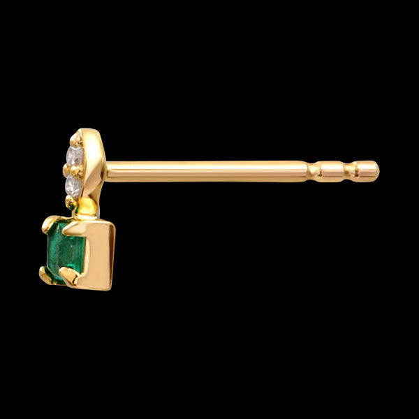 Rajski Ptak Nº52