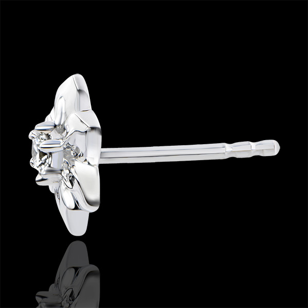 Rozkwit nr 10