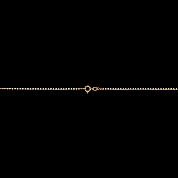 Abundenţă nr. 16