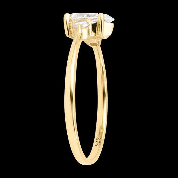 Eloria Ring – 9 karaat Geelgoud en Synthetische Diamanten