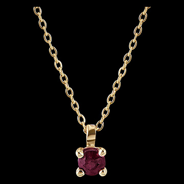 Bird of Paradise necklace - Ruby solitaire- 18 carat yellow gold
