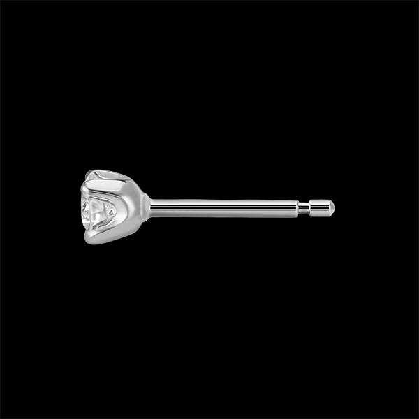 Oorbellen Diamant witgoud - 0.25 karaat - 18 karaat goud