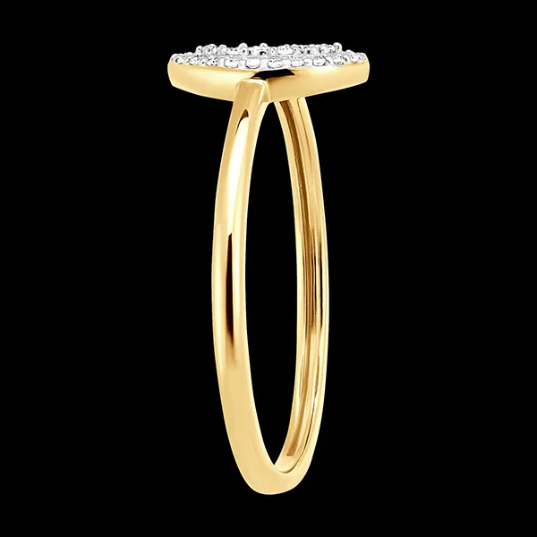 Ring Origine - Ovale Schittering - 9 karaat wit en geelgoud en diamanten