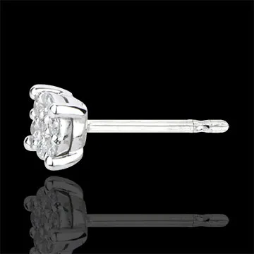 Boucles d'oreilles Myriade d'étoiles - or blanc 18 carats