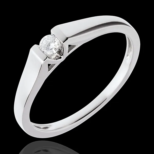 Solitaire Ark - 18 karaat witgoud