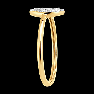 Origin Ring - Oval Brilliance - 18 carat white and yellow gold and diamonds