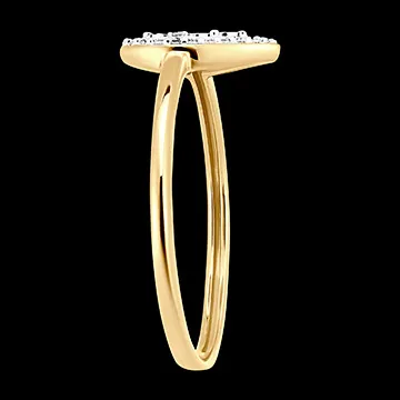 Ring Origine - Peer Schittering - 9 karaat wit en geelgoud en diamanten