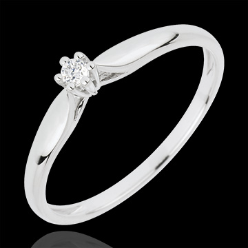 Ring Riet 6 Diamanten pootjes - 18 karaat witgoud