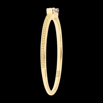 Virelys Ring – 9 karaat Geelgoud en Amethist