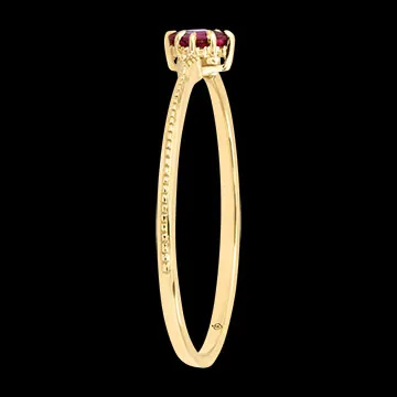 Norée Ring – 9 karaat Geelgoud, Synthetische Robijn