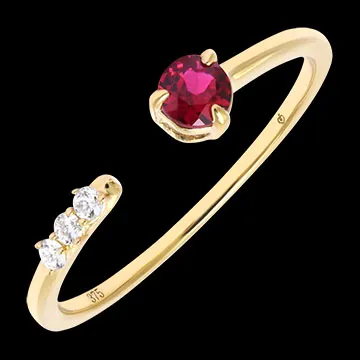 Intervalle Ring – Geelgoud 9 karaat met synthetische diamanten en synthetische robijn