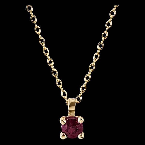 Ketting Paradijsvogel - Robijn solitaire - 18 karaat geelgoud