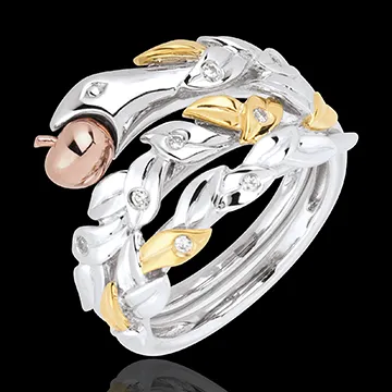 Anello Passeggiata Immaginaria - Frutto Proibito - Tre ori - 18 carati