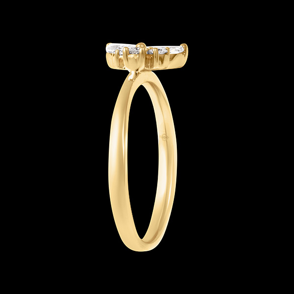 Anello Farfalla di Mezzanotte - oro giallo 9 carati con diamanti sintetici