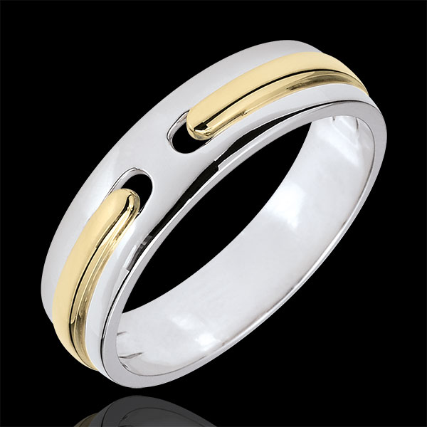 Wedding Ring Promise - all gold - two golds - very large model - 18 carat